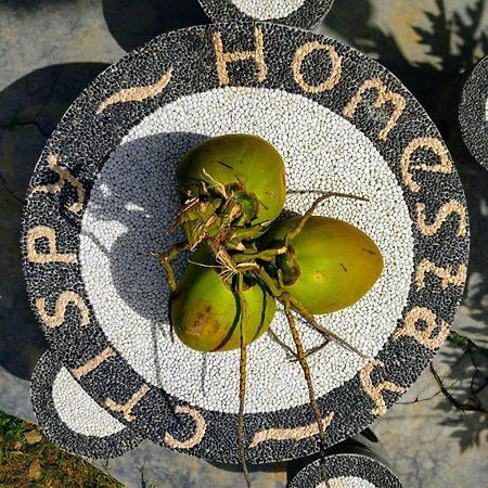 Crispycool Homestay Kuta  Zewnętrze zdjęcie