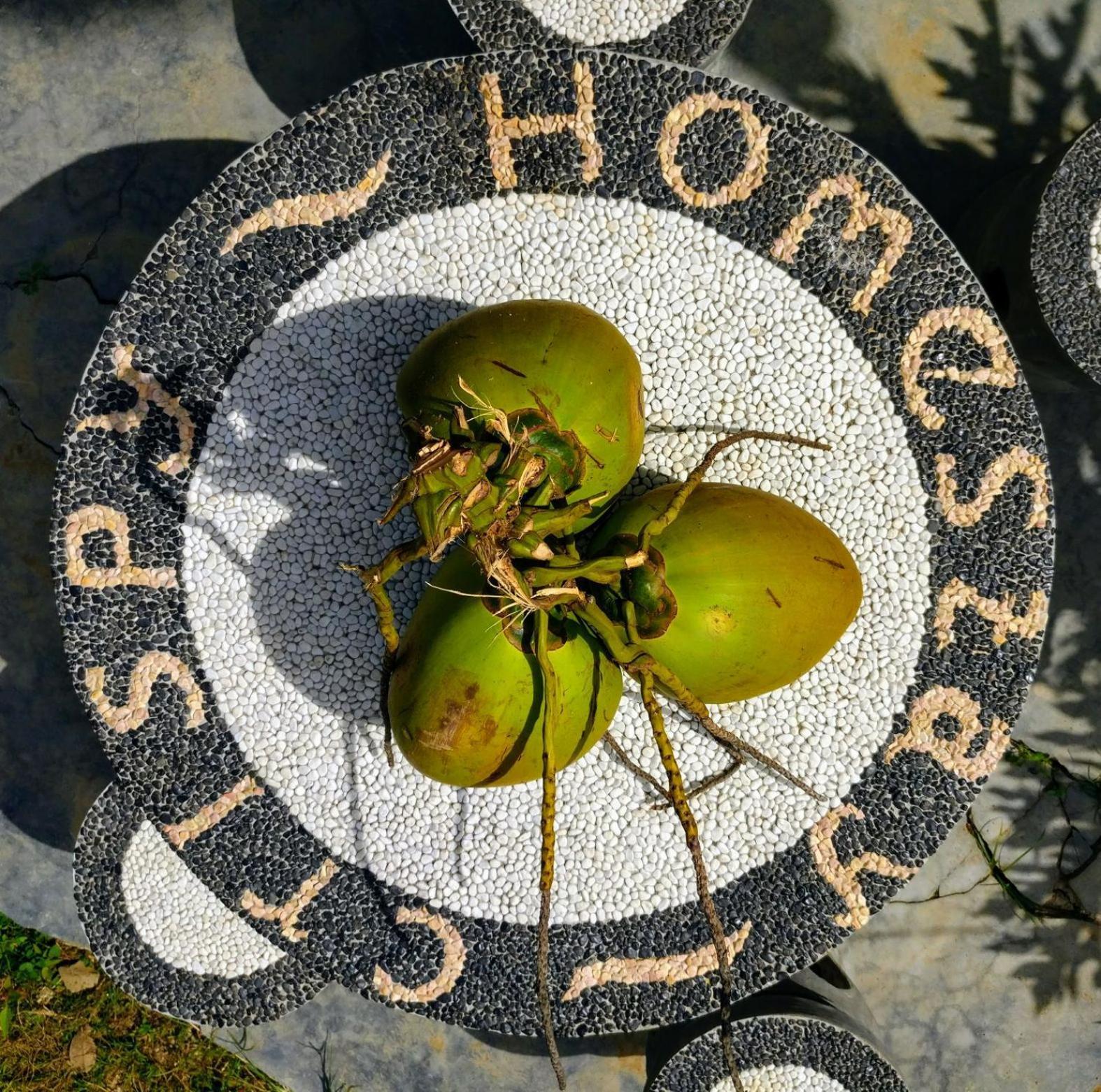 Crispycool Homestay Kuta  Zewnętrze zdjęcie